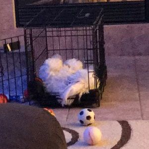 Meet your Posher, Robin